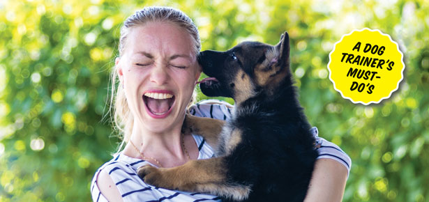 10 Dinge, die Sie tun können, um das Leben Ihres Hundes zu verbessern!