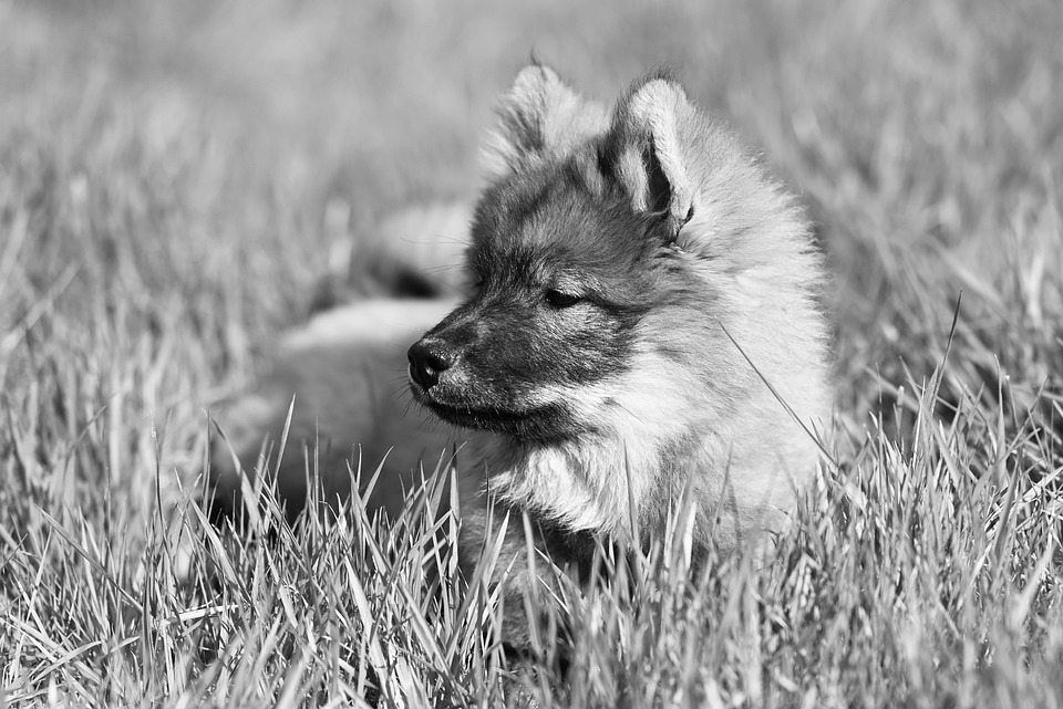 Die häufigsten Erziehungsfehler im Alltag